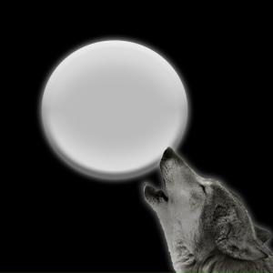 Baron x C.ONE - Lambo