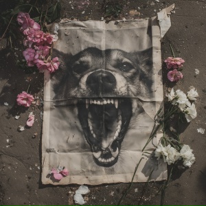 моёгоре - псы попадают в рай