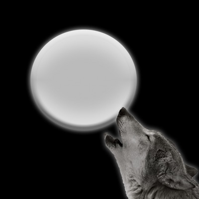 album image Mesukhtam , Mesuzi 2020-2021