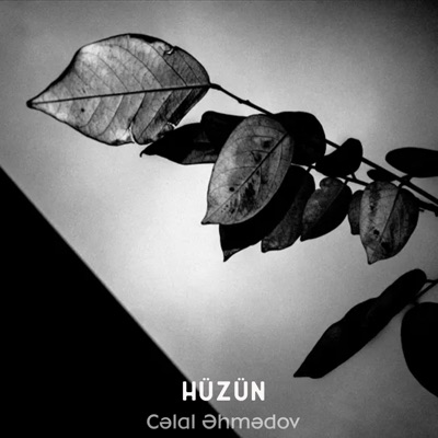 album image Hüzün Hüzün