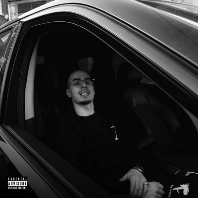 album image AMMO AMMO