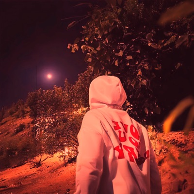 album image HERE HERE