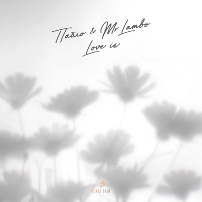 album image Love Is Love Is