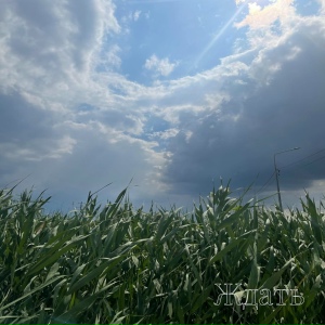 Даник - Ждать