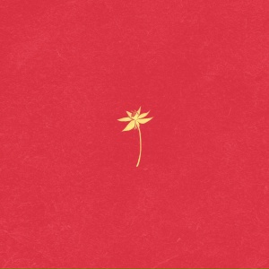 чичако - подарки востока