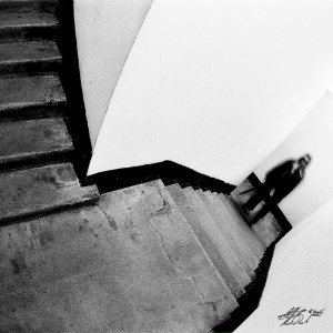 коллектив - назад