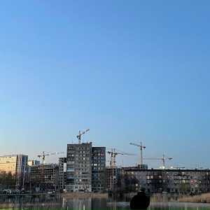 чичако - Мисо суп