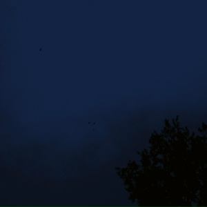 чичако - Грохоча, ночь озаряется