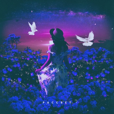 album image Рассвет Рассвет