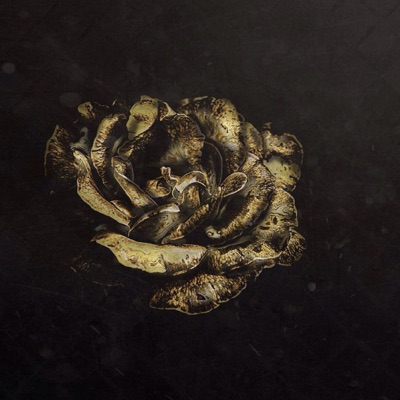 album image ЗАБВЕНИЕ ЗАБВЕНИЕ