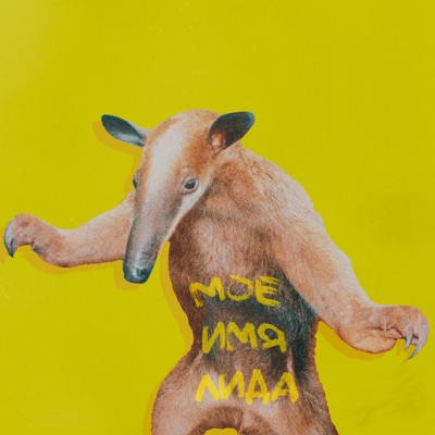 album image Ради бога МОЕ ИМЯ ЛИДА