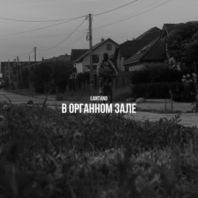 album image В органном зале В органном зале