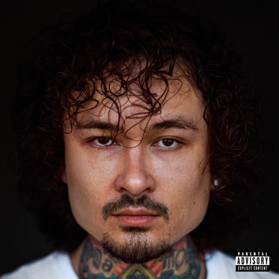 album image ПОВОД ALISHER