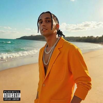 album image OMG Vibes