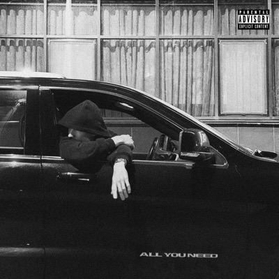 album image ALL YOU NEED ALL YOU NEED